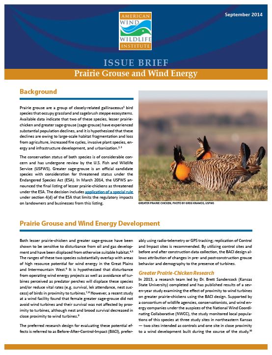 Prairie Grouse Issue Brief - Renewable Energy Wildlife Institute