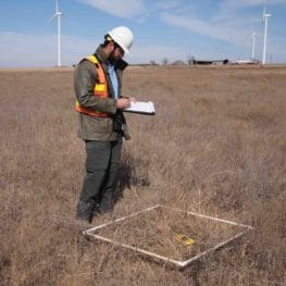 researcher conducts fieldwork at wind energy facility